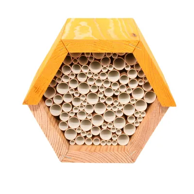 Maison à abeilles hexagonale en bois
