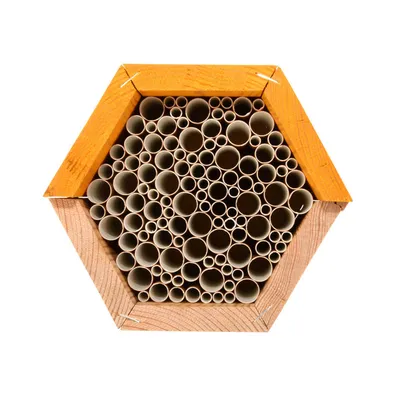 Maison à abeilles hexagonale en bois