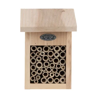 Abri pour abeilles, avec brosse de nettoyage inclus.