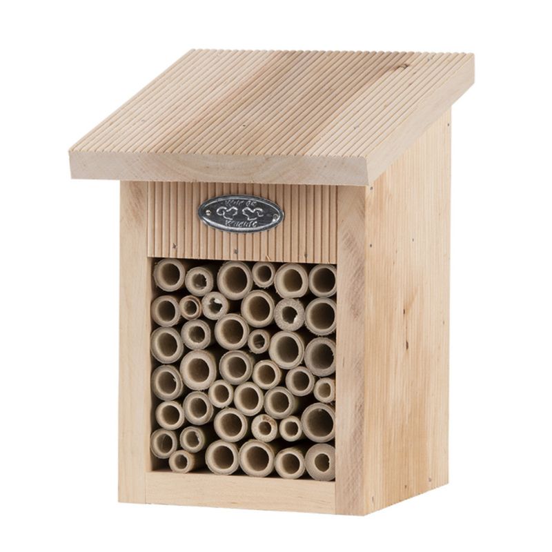 Abri pour abeilles, avec brosse de nettoyage inclus.