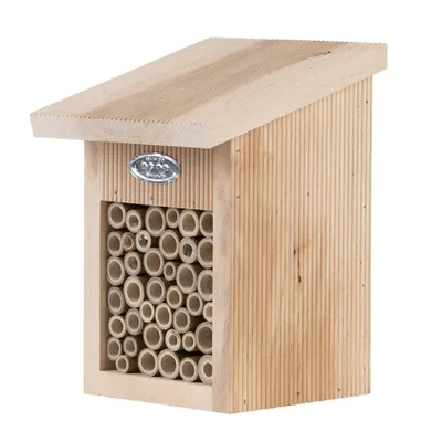 Abri pour abeilles, avec brosse de nettoyage inclus.