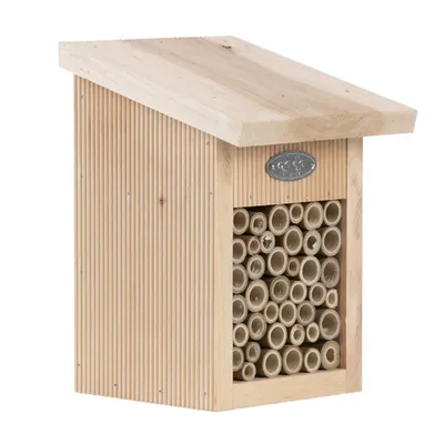 Abri pour abeilles, avec brosse de nettoyage inclus.