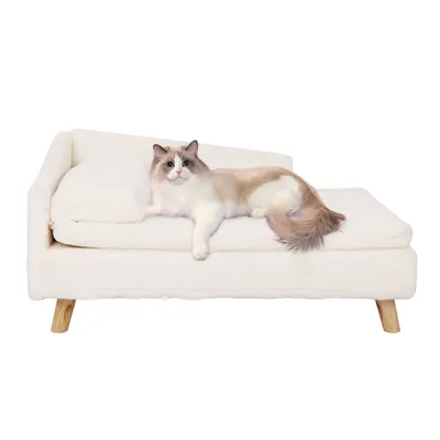 BINGOPAW Canapé pour chien Lit avec coussin surélevé