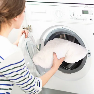 BINGOPAW Canapé pour chien Lit avec coussin surélevé