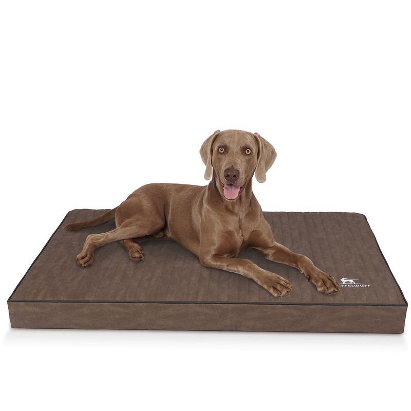Knuffelwuff orthopädische Hundematte Palomino aus Kunstleder