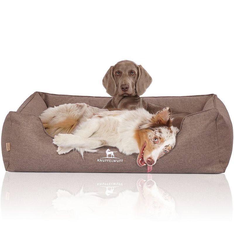 Knuffelwuff Panier orthopédique pour chien Wippo