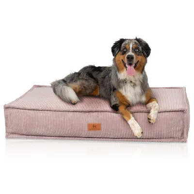 Knuffelwuff Hundekissen Lesedi aus Cord mit Handwebcharakter Knuffelwuff Hundekissen Lesedi aus Cord mit Handwebcharakter