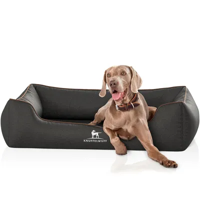 Knuffelwuff Panier orthopédique pour chien Amelie Knuffelwuff Panier orthopédique pour chien Amelie