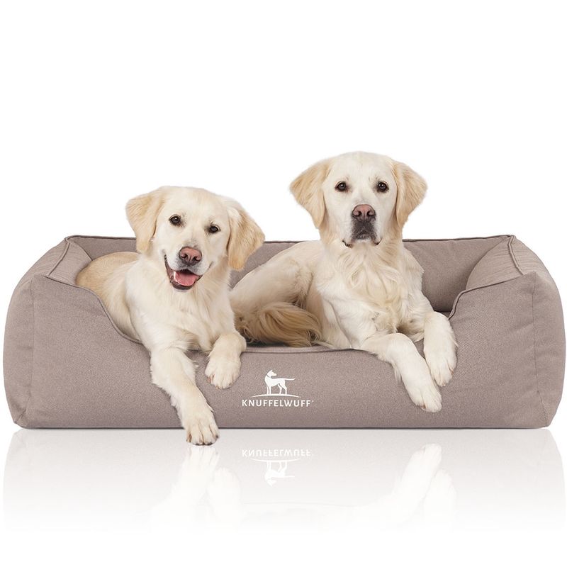 Knuffelwuff Orthopädisches Wasserabweisendes Hundebett Leon