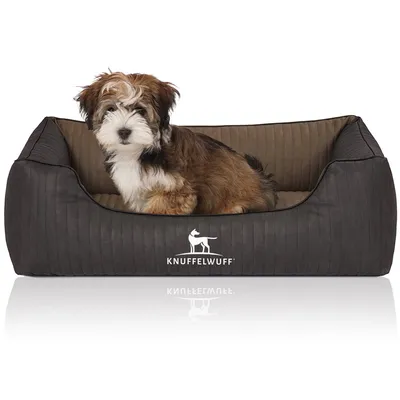 Knuffelwuff Panier orthopédique pour chien Outback