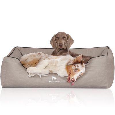 Knuffelwuff Panier orthopédique pour chien Rockland