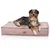 XL 100 x 70 x 25cm rose