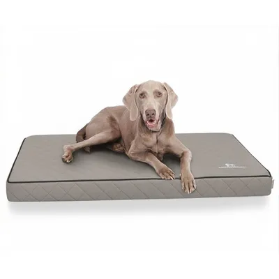 Knuffelwuff Tapis pour chien orthopédique Juna Knuffelwuff Tapis pour chien orthopédique Juna