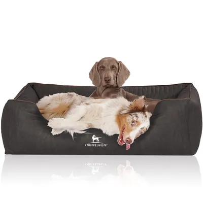 Knuffelwuff Orthopädisches Hundebett Tampa aus laser-gestepptem Kunstleder Knuffelwuff Orthopädisches Hundebett Tampa aus laser-gestepptem Kunstleder
