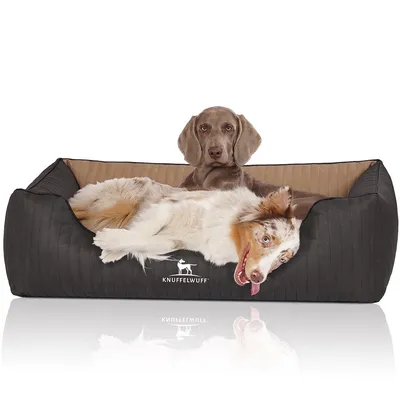 Knuffelwuff Orthopädisches Hundebett Outback aus Kunstleder