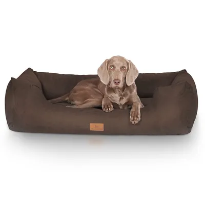 Knuffelwuff Panier pour chien Dreamline