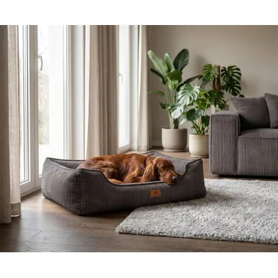 Knuffelwuff Panier orthopédique pour chien Nunavut Knuffelwuff Panier orthopédique pour chien Nunavut