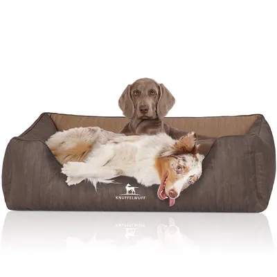 Knuffelwuff Panier orthopédique pour chien Outlander Knuffelwuff Panier orthopédique pour chien Outlander