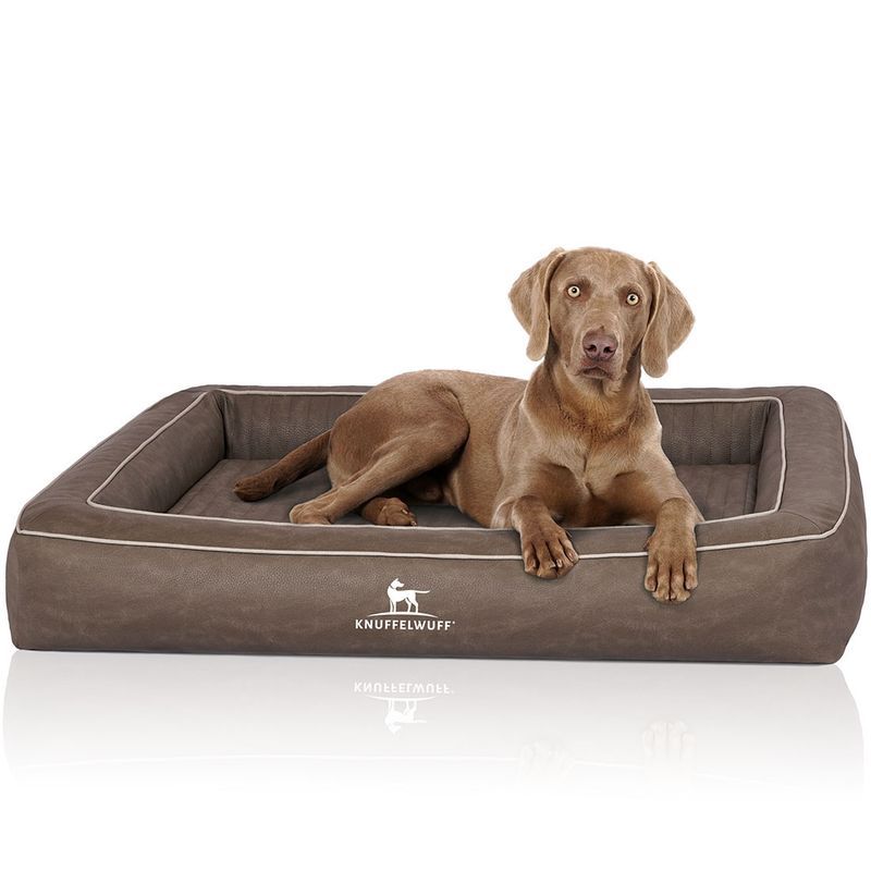 Knuffelwuff Orthopädisches Hundebett aus Kunstleder Montego