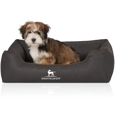 Knuffelwuff Panier orthopédique pour chien Rockland