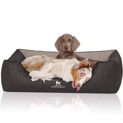 Knuffelwuff Orthopädisches Hundebett Outback aus Kunstleder Knuffelwuff Orthopädisches Hundebett Outback aus Kunstleder