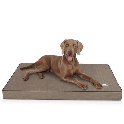 Knuffelwuff Tapis pour chien orthopédique Palomino