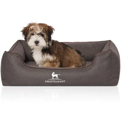 Knuffelwuff Panier orthopédique pour chien Wippo