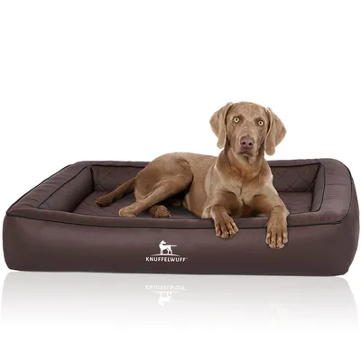 Knuffelwuff Orthopädisches Hundebett aus Kunstleder Hampstead