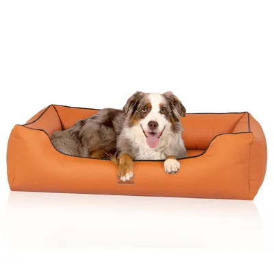 Knuffelwuff Panier orthopédique pour chien Lovelock Knuffelwuff Panier orthopédique pour chien Lovelock