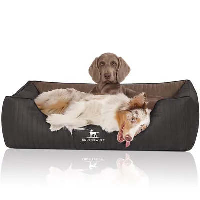 Knuffelwuff Orthopädisches Hundebett Outback aus Kunstleder Knuffelwuff Orthopädisches Hundebett Outback aus Kunstleder