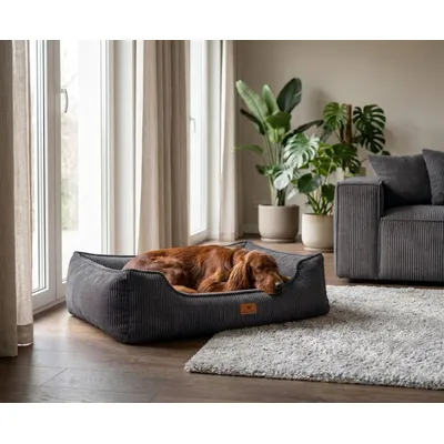 Knuffelwuff Panier orthopédique pour chien Nunavut Knuffelwuff Panier orthopédique pour chien Nunavut
