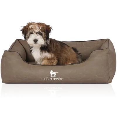 Knuffelwuff Panier orthopédique pour chien Rockland