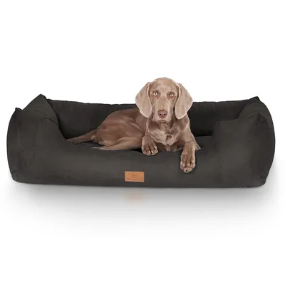 Knuffelwuff Hundebett Dreamline aus Velours Knuffelwuff Hundebett Dreamline aus Velours