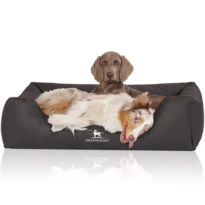 Knuffelwuff Hundebett Scottsdale aus Kunstleder