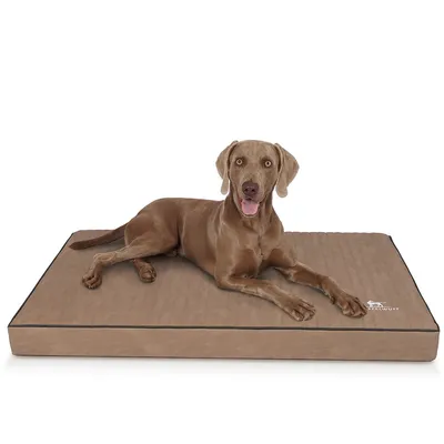 Knuffelwuff orthopädische Hundematte Palomino aus Kunstleder Knuffelwuff orthopädische Hundematte Palomino aus Kunstleder