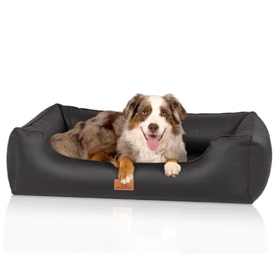 Knuffelwuff Panier orthopédique pour chien Lovelock