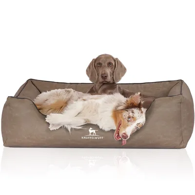 Knuffelwuff Orthopädisches Hundebett Rockland aus Kunstleder Knuffelwuff Orthopädisches Hundebett Rockland aus Kunstleder