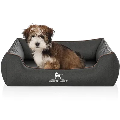 Knuffelwuff Panier orthopédique pour chien Amelie