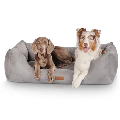 Knuffelwuff Hundebett Dreamline aus Velours