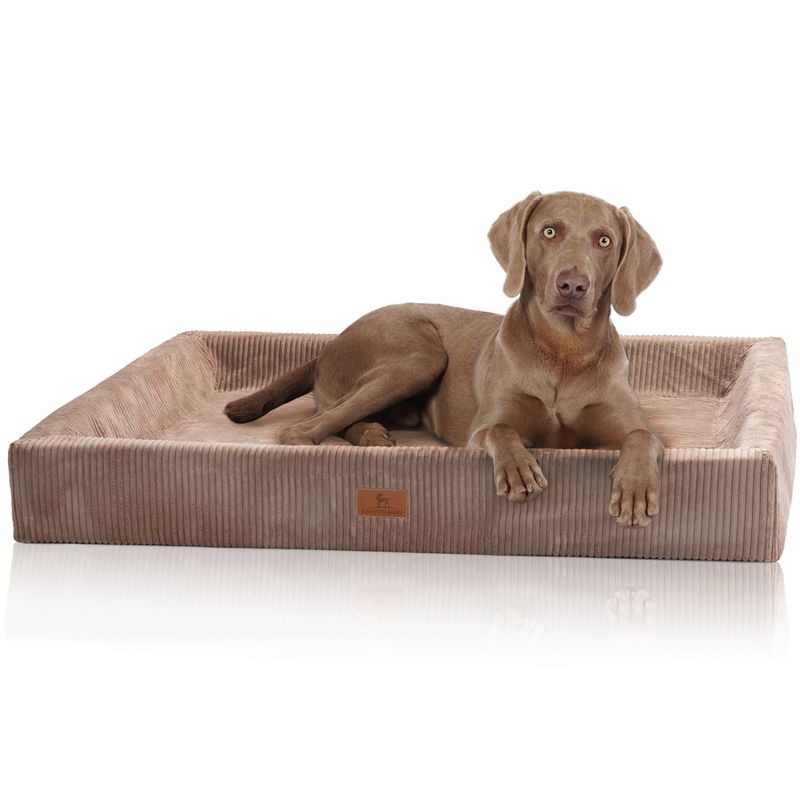Knuffelwuff Panier orthopédique pour chien Santiago
