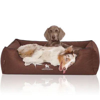Knuffelwuff Panier orthopédique pour chien Wippo