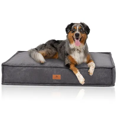 Knuffelwuff Hundekissen Lesedi aus Cord mit Handwebcharakter Knuffelwuff Hundekissen Lesedi aus Cord mit Handwebcharakter