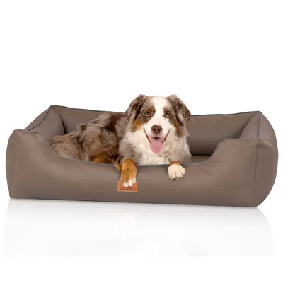 Knuffelwuff orthopädisches Hundebett aus Kunstleder Lovelock Knuffelwuff orthopädisches Hundebett aus Kunstleder Lovelock