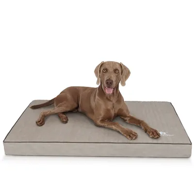 Knuffelwuff orthopädische Hundematte Palomino aus Kunstleder Knuffelwuff orthopädische Hundematte Palomino aus Kunstleder