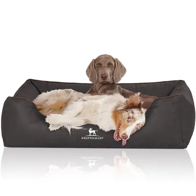 Knuffelwuff Orthopädisches Hundebett Rockland aus Kunstleder Knuffelwuff Orthopädisches Hundebett Rockland aus Kunstleder
