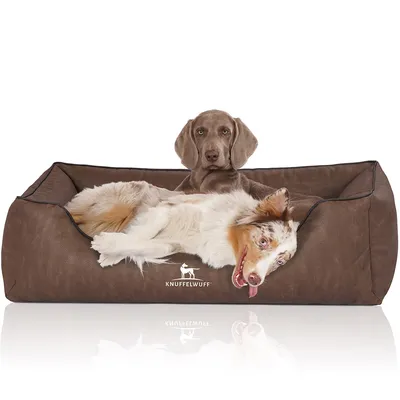 Knuffelwuff Orthopädisches Hundebett Rockland aus Kunstleder Knuffelwuff Orthopädisches Hundebett Rockland aus Kunstleder