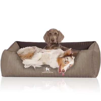 Knuffelwuff Panier orthopédique pour chien Outlander