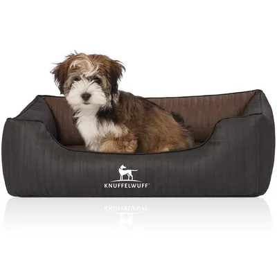 Knuffelwuff Panier orthopédique pour chien Outback