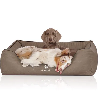 Knuffelwuff Orthopädisches Hundebett Columbia laser-gestepptem Kunstleder Knuffelwuff Orthopädisches Hundebett Columbia laser-gestepptem Kunstleder