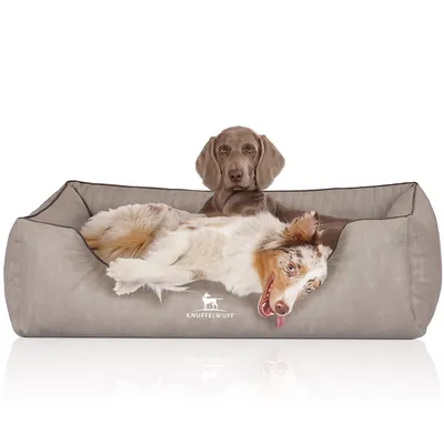 Knuffelwuff Orthopädisches Hundebett Tampa aus laser-gestepptem Kunstleder Knuffelwuff Orthopädisches Hundebett Tampa aus laser-gestepptem Kunstleder